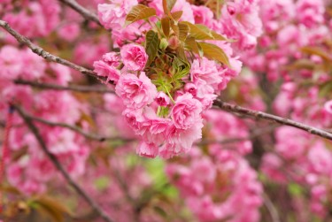 徐州线下个人借款平台一站式服务，轻松解决资金难题