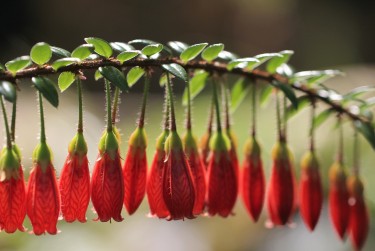 徐州零用贷短借：轻松解决临时资金需求
