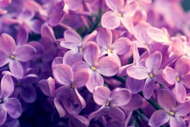 徐州企业急用钱贷款攻略：快速融资解燃眉之急